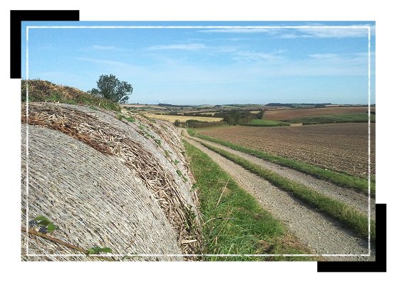 omgeving