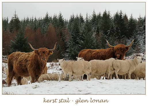 kerst stal